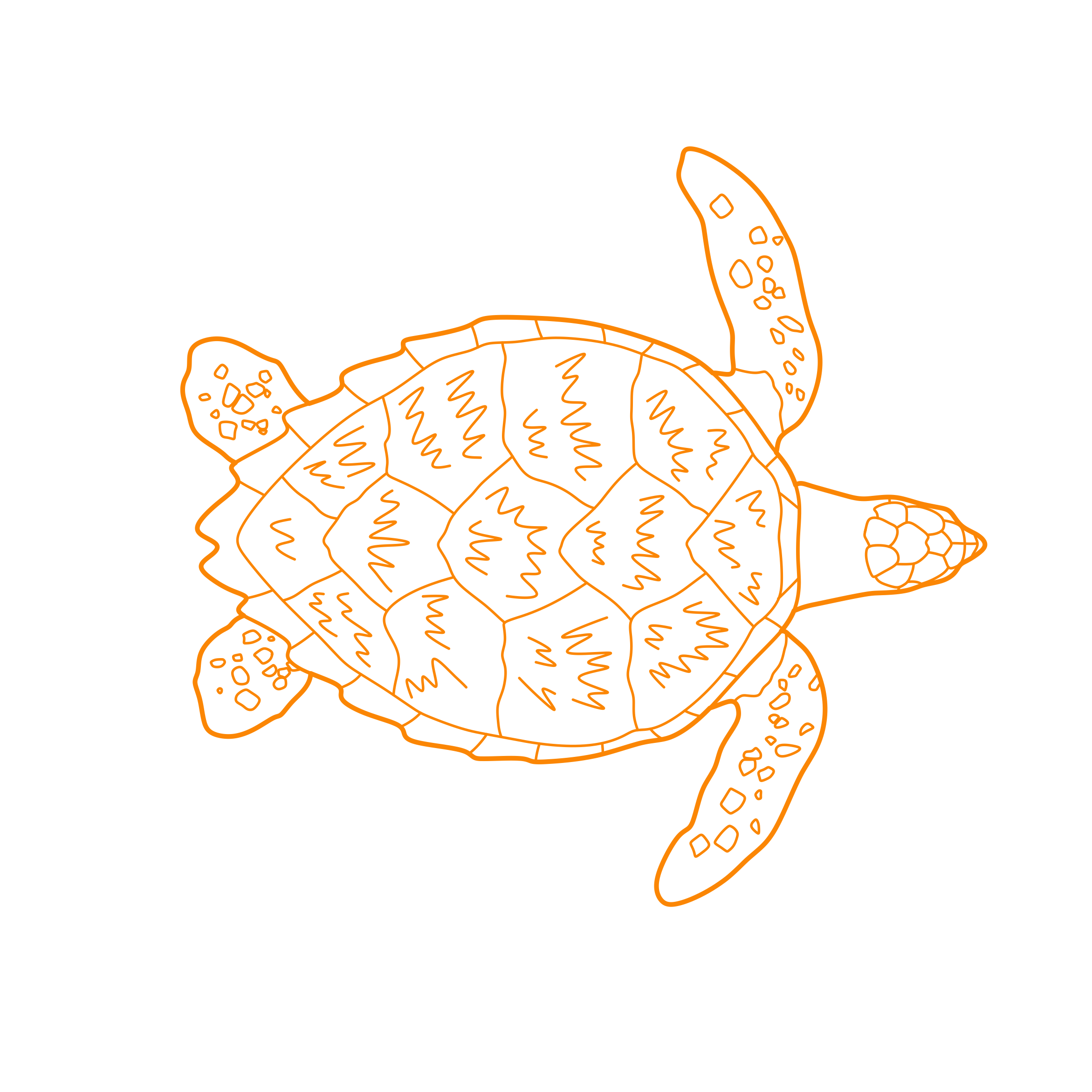 Animals Turtles Hawksbill Sea Turtle Outline Icon Svg Set Free Vectors
